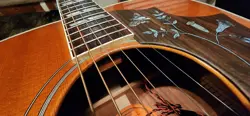 HUMMINGBIRD 2005
