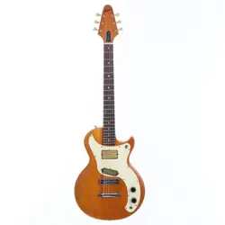 GIBSON 1975 MARAUDER