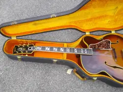 GUARD SEMI-HOLLOW GUITAR