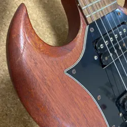 SG 2010 ELECTRIC