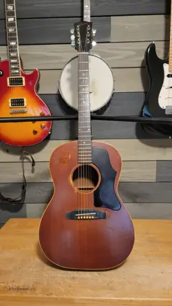 LG-1 ACOUSTIC