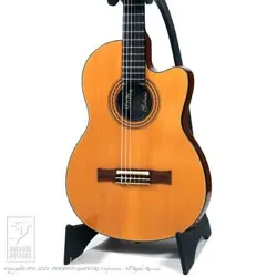 GIBSON CHET ATKINS C.E. (1998)