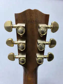 ACOUSTIC GUITAR SONGWRITER