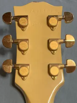 PAUL CUSTOM AW