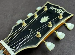 ORVILLE BY GIBSON J-200 SAFE DELIVERY FROM JAPAN