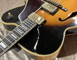 VINTAGE BYRDLAND
