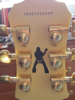 WYLDE GUITAR