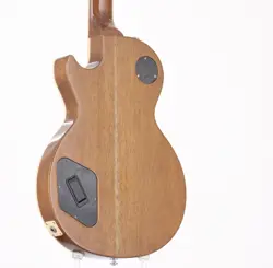 TS ELECTRIC GUITAR