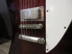 SHOP FIREBIRD SUNBURST