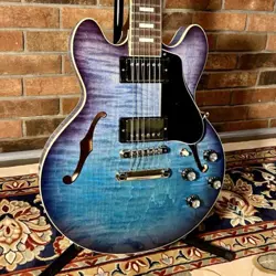 2024 BLUEBERRY BURST