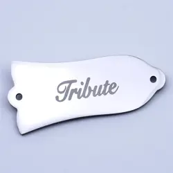 2 HOLE GUITAR TRUSS ROD COVER PLATE 