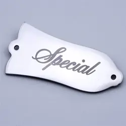 2 HOLE STEEL GUITAR TRUSS ROD COVER PLATE 