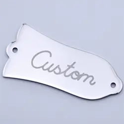 2 HOLE STEEL GUITAR TRUSS ROD COVER PLATE 