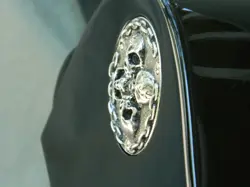 SKULL TOGGLE