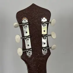 STEEL GUITAR CRINKLE