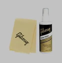 GIBSON AIGG-950 PUMP POLISH AND CLOTH COMBO PACK