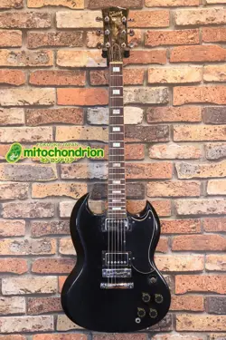 FINISH 1974 ELECTRIC