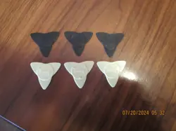 PICKS 1979 TRIPIK