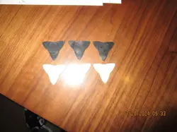 VARIATIONS