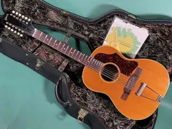 GIBSON B25-12 NT
