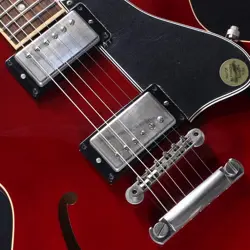 DOT ELECTRIC GUITAR