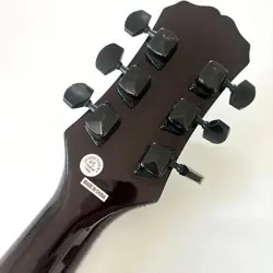 EPIPHONE BY GIBSON LES PAUL SPECIAL II