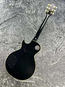 REISSUE 3-PICKUP BIGSBY