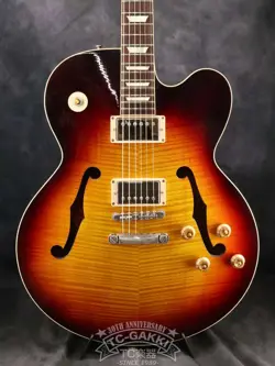 ARCHTOP USED ELECTRIC