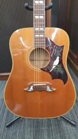 DOVE ACOUSTIC SAFE