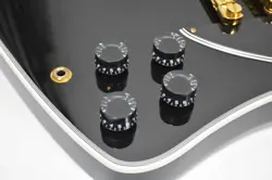 FIREBIRD EBONY GLOSS