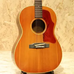 GIBSON B-25 CSB