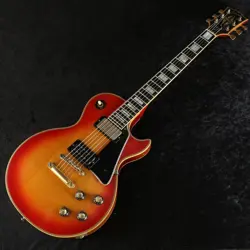 1976 VINTAGE GUITAR