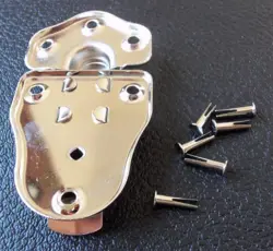 CASE GIBSON FENDER