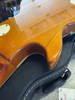GIBSON ZEBRA
