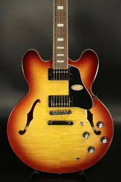 ES-335 FIGURED RASPBERRY
