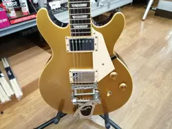 BIGSBY!!　ELECTRIC