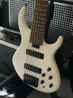 GIBSON TOBIAS