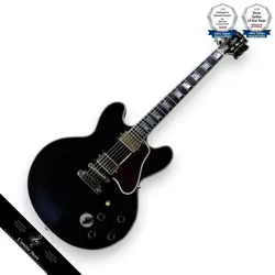 GUITAR EBONY 2016