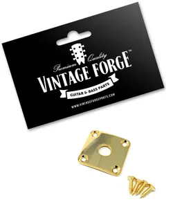 GOLD METAL JACK PLATE FOR GIBSON LES PAUL GUITAR SQUARE CURVED W/SCREWS *NEW*