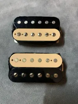 ALNICO PICKUP ZEBRA