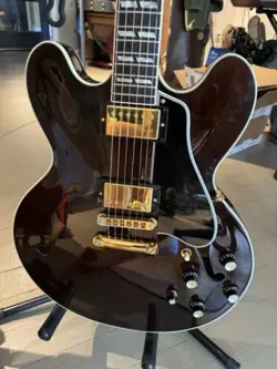 ES-345 GUITAR 2009