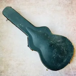 GIBSON ES-125TDC 1965