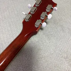 MODEL WITH GIG