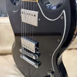 SG WITH EBONY