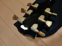 CUSTOM GIBSON HEAD