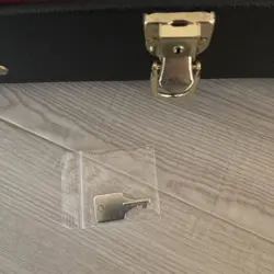 GIBSON LES PAUL GUITAR CASE