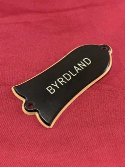 BYRDLAND GUITAR TRUSS