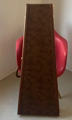 GIBSON FLYING V HISTORIC CASE