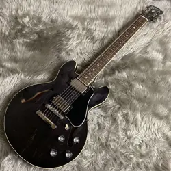 TRANS EBONY 165258