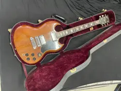 SG WITH CASE